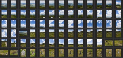 MOUNTAINS AND TREES - AERIAL VIEW