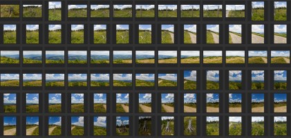 MOUNTAINS AND TREES - AERIAL VIEW