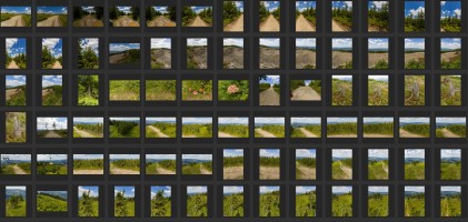 MOUNTAINS AND TREES - AERIAL VIEW