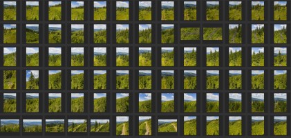MOUNTAINS AND TREES - AERIAL VIEW