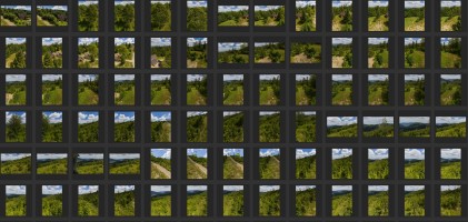 MOUNTAINS AND TREES - AERIAL VIEW