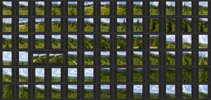 MOUNTAINS AND TREES - AERIAL VIEW