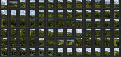 MOUNTAINS AND TREES - AERIAL VIEW