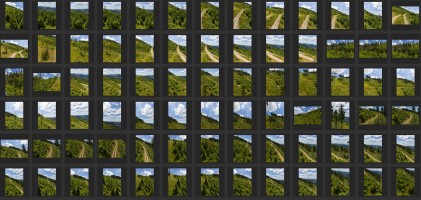 MOUNTAINS AND TREES - AERIAL VIEW