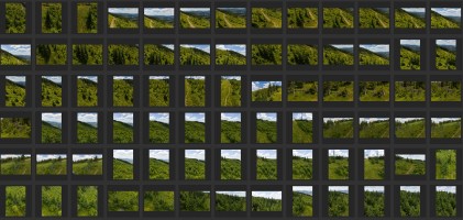 MOUNTAINS AND TREES - AERIAL VIEW