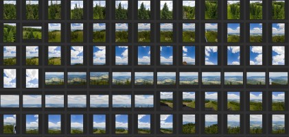 MOUNTAINS AND TREES - AERIAL VIEW