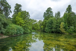 Royal Botanic Gardens