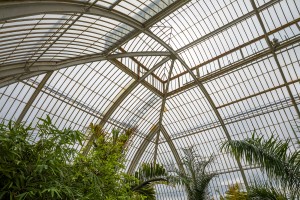 Royal Botanic Gardens