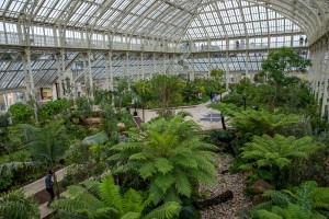 Royal Botanic Gardens