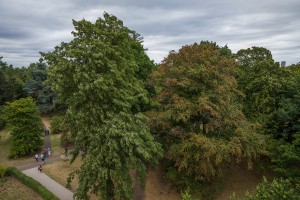 Royal Botanic Gardens