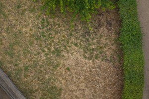 Royal Botanic Gardens