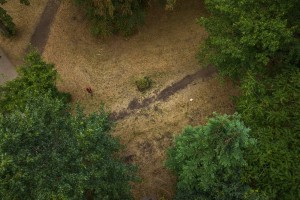 Royal Botanic Gardens