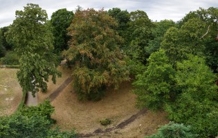 Royal Botanic Gardens