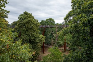 Royal Botanic Gardens