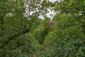 Royal Botanic Gardens