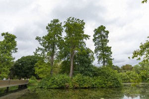 Royal Botanic Gardens