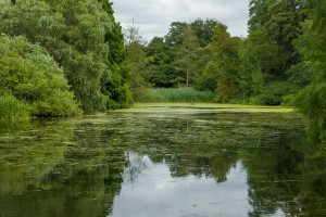 Royal Botanic Gardens
