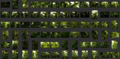 Royal Botanic Gardens