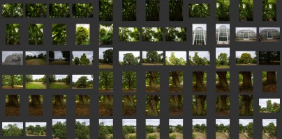 Royal Botanic Gardens