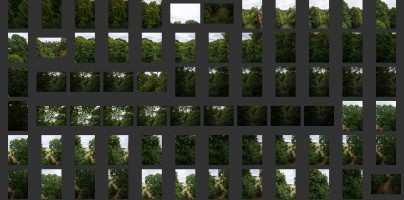 Royal Botanic Gardens