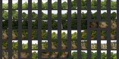 Royal Botanic Gardens