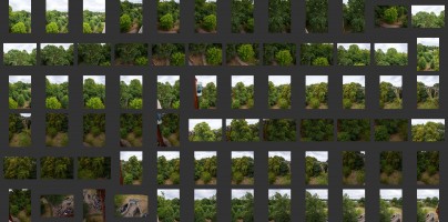 Royal Botanic Gardens