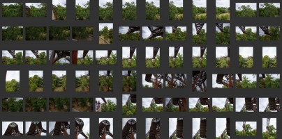 Royal Botanic Gardens