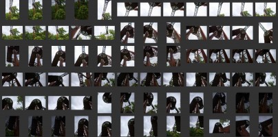 Royal Botanic Gardens