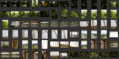 Royal Botanic Gardens