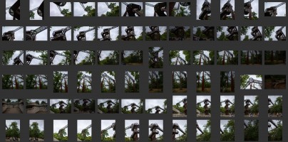 Royal Botanic Gardens