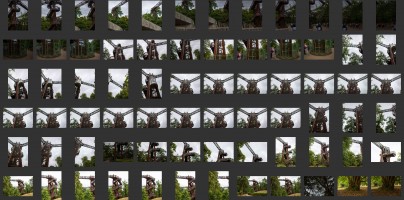 Royal Botanic Gardens