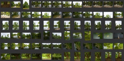 Royal Botanic Gardens