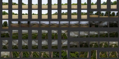 Royal Botanic Gardens