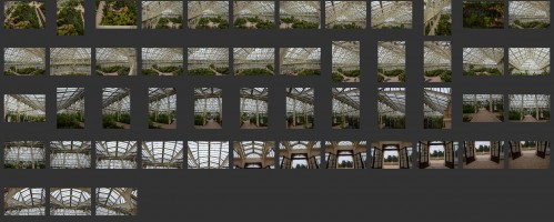 Royal Botanic Gardens