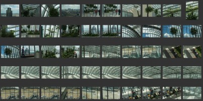 Sky Garden- London Rooftops