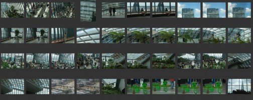 Sky Garden- London Rooftops