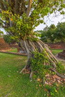 Thailand - Ayutthaya