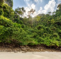 THAILAND - PHI PHI ISLANDS