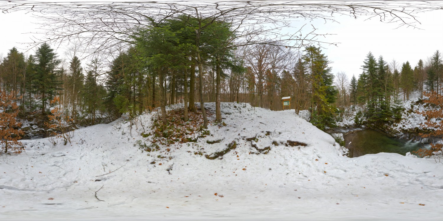 360 Hdri Panorama Of Winter Forest With Snow And Trees Forest Poland