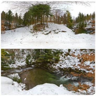 Winter Forest HDRI 