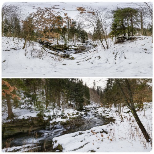 360 HDRI panorama of Winter forest 4 in high 30k resolution forest
