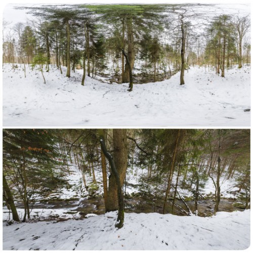 360 HDRI panorama of Winter forest 5 in high 30k resolution forest