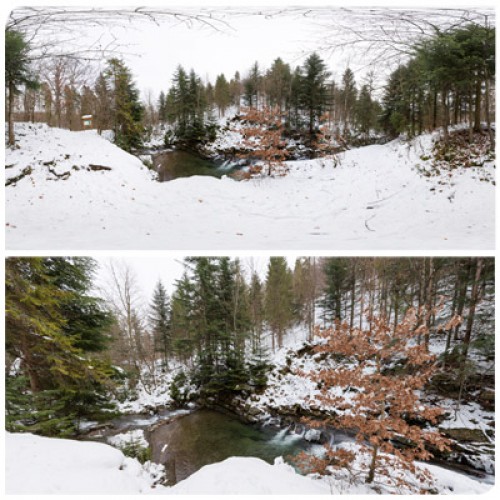 360 HDRI panorama of Winter Forest in 30k, 15k and 4k resolution