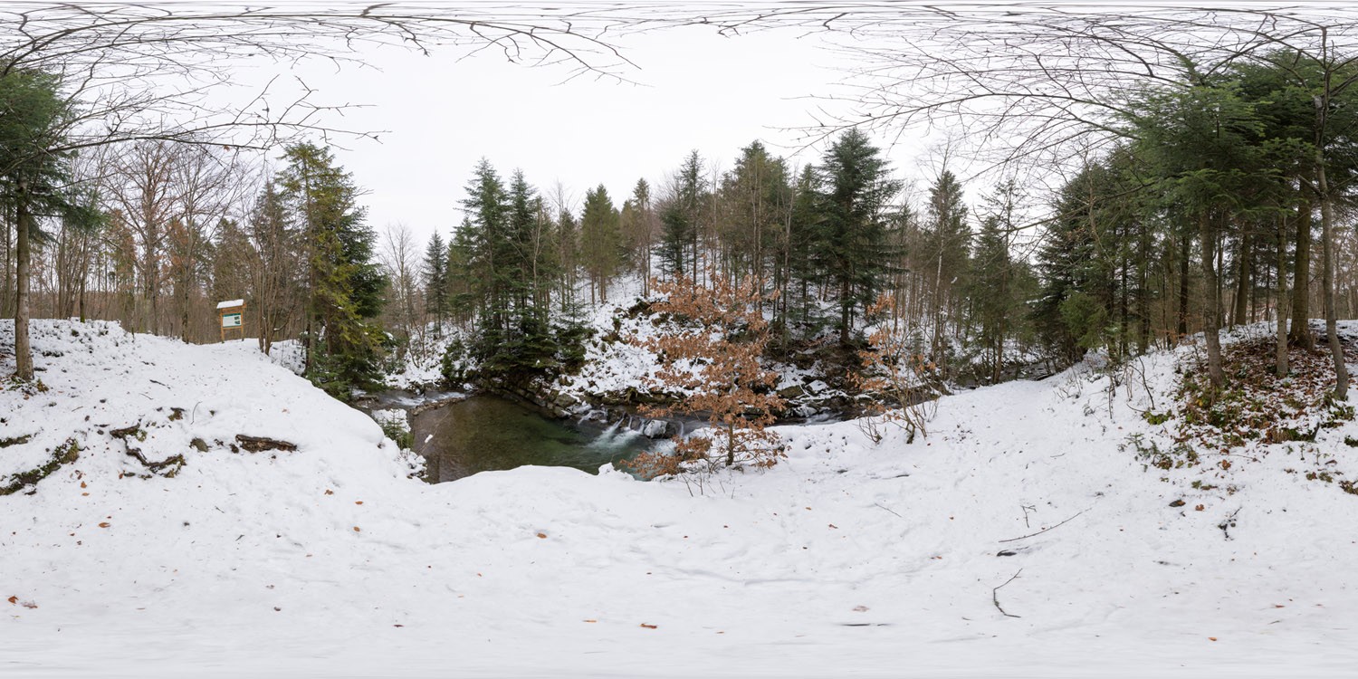 Winter Forest 5971 (30K HDRI)