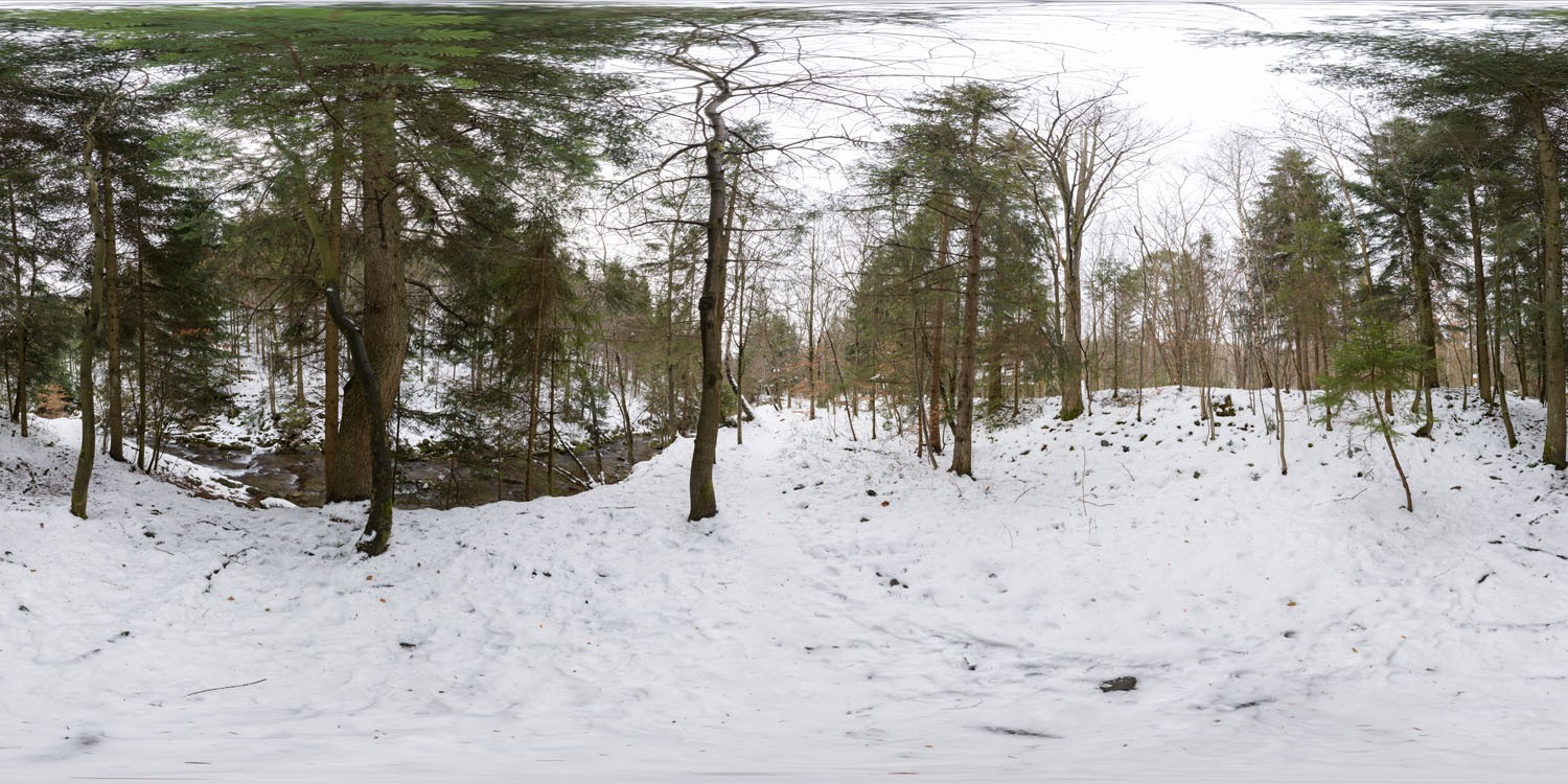 Winter Forest 6174 (30K HDRI)