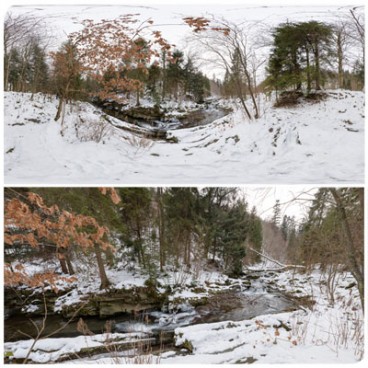 Winter Forest 6329 (30K HDRI) Panoramas