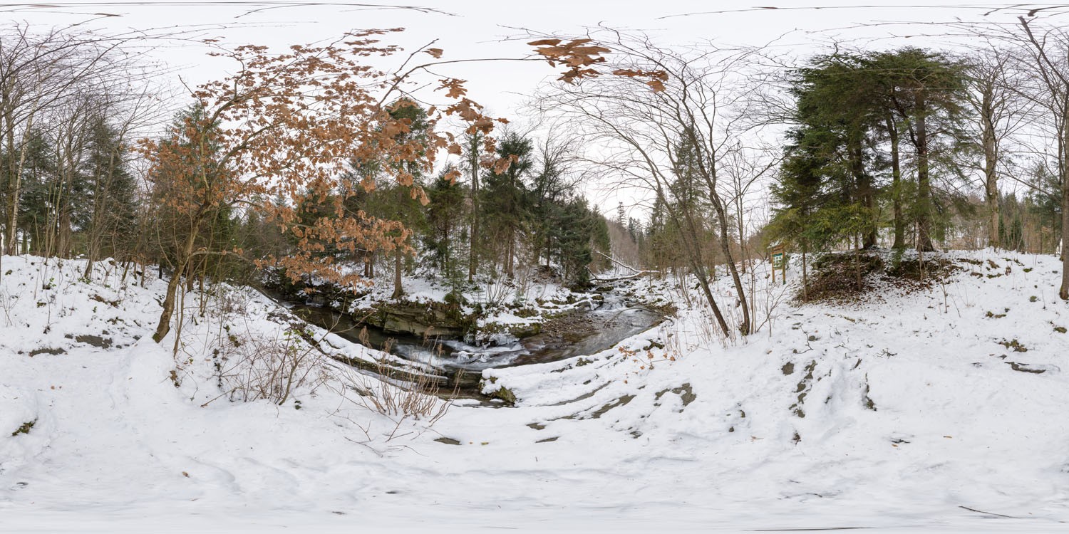 Winter Forest 6329 (30K HDRI)