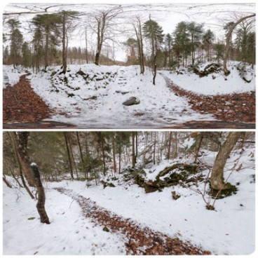 Winter Forest 6517 (30K HDRI) Panoramas