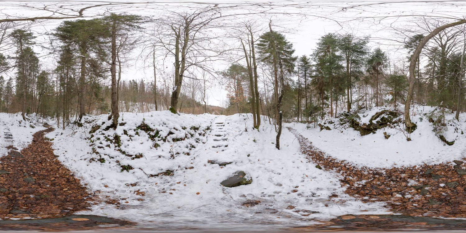 Winter Forest 6517 (30K HDRI)