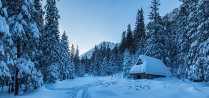 WINTER - MOUNTAINS AND TREES BUNDLE